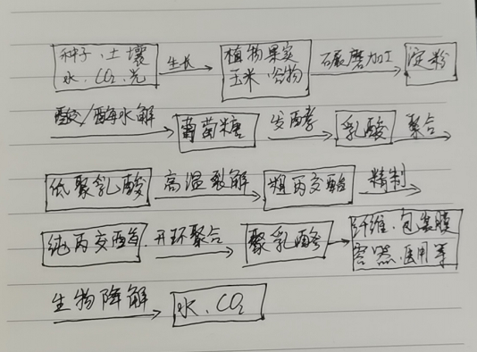 生物降解袋中的PLA是如何制得的？(圖1)
